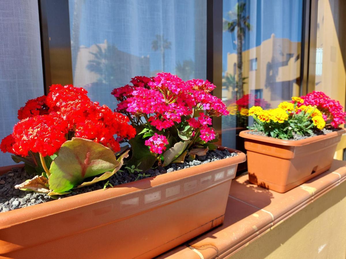 Casa Ledu - Sunny Holiday In Fuerteventura Corralejo Eksteriør bilde